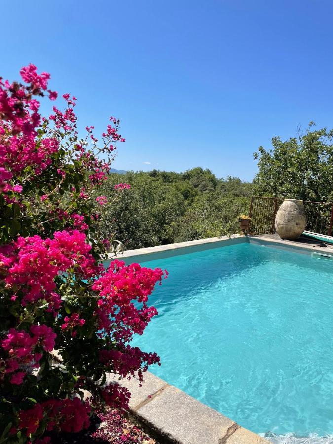 Le Petit Mas Bed & Breakfast Vogue Exterior photo