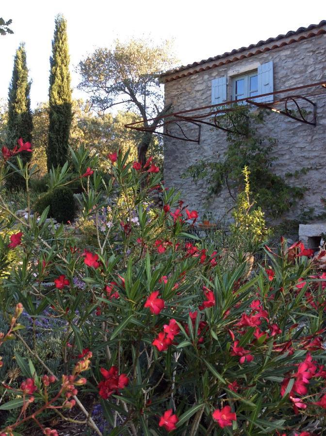 Le Petit Mas Bed & Breakfast Vogue Exterior photo